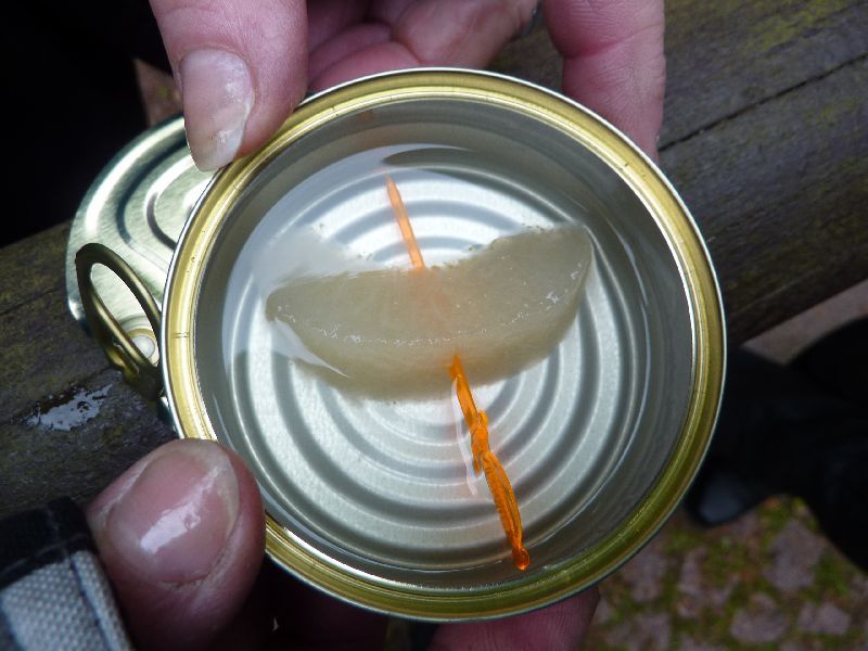 Bilder Vom Treffen 45 20130106 1204360362