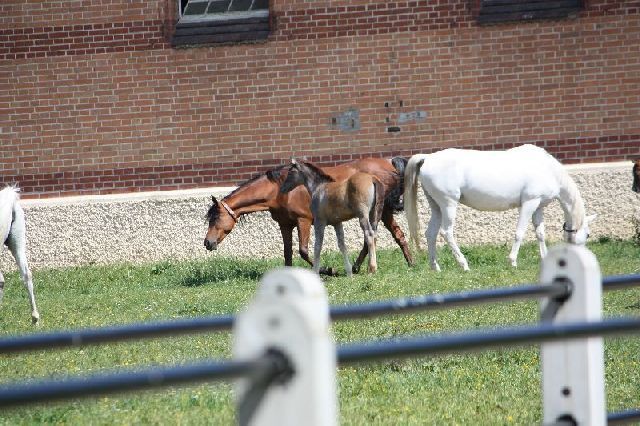 Bad Boll 2011 34 20121226 1610144528