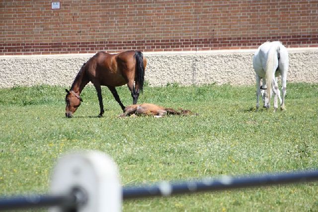 Bad Boll 2011 35 20121226 1112937057