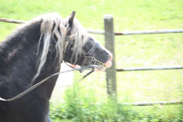 Bad Boll 2011 38 20121226 1415187885