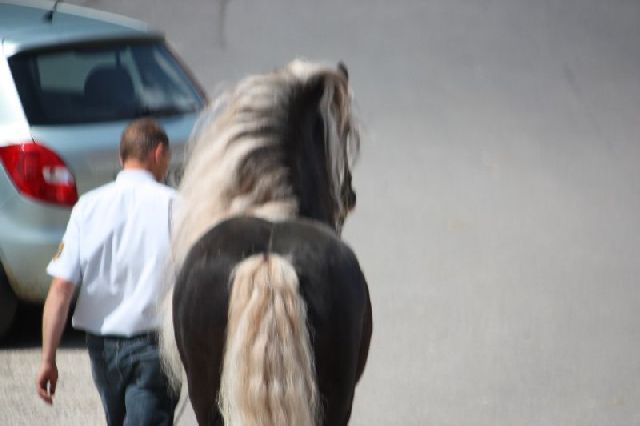 Bad Boll 2011 39 20121226 2078669178